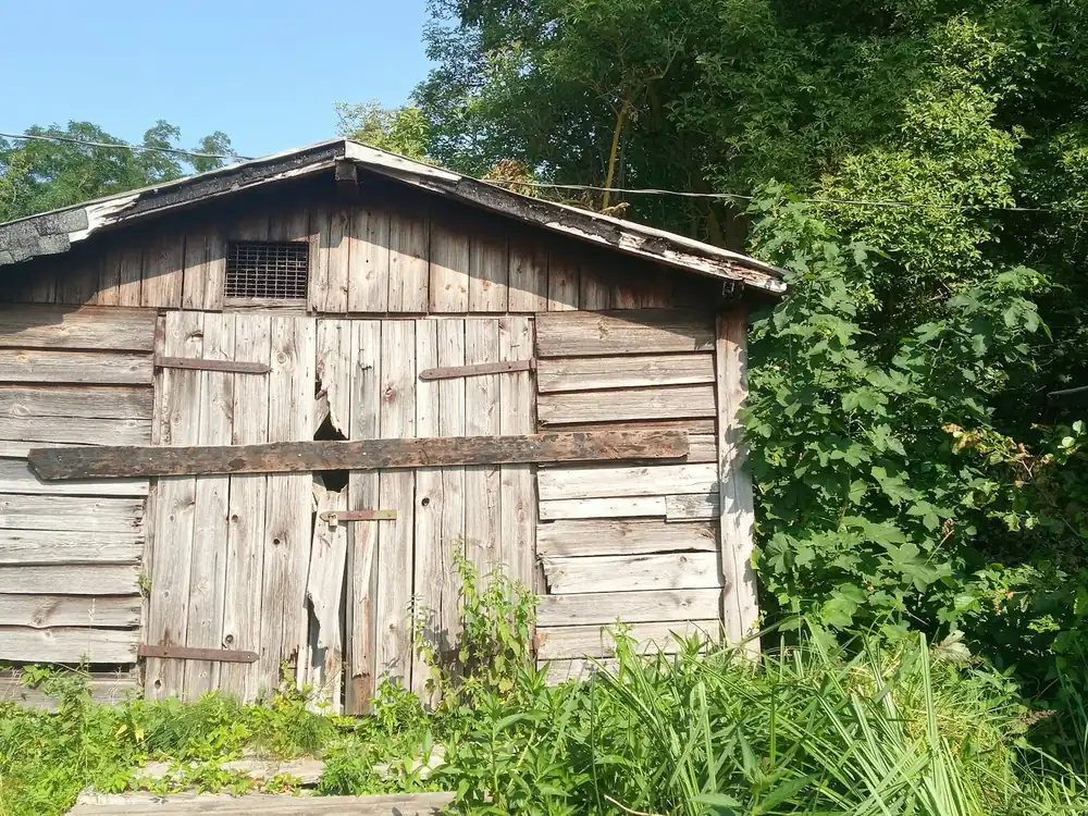 A weathered, falling-apart wooden shed surrounded by tall grass and trees.